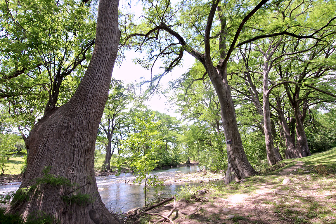 44_River-Run-Waterwheel_6012