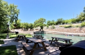 46_Comal-River-Oasis_7336